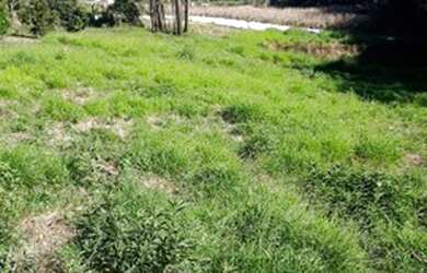 Imagem: A chácara possui 10.000m² de Área e está localizado em