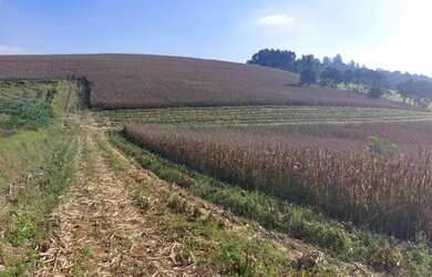 Imagem 2: Lote/Terreno para venda possui 500 metros quadrados em Vila Rica - Atibaia...