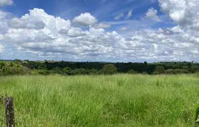 Imagem 15: FAZENDA A VENDA À APENAS 5 KM DO EMPÓRIO CASARÃO BR 060 Fazenda à...