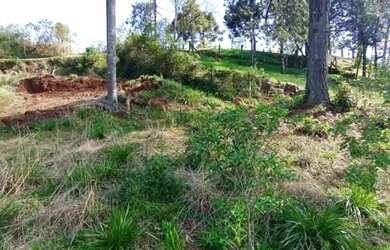 Imagem 3: Terreno - Bairro Vale dos Pinheiros