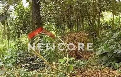 Imagem 2: Lote em condomínio em Rua Biritiba Mirim - Paisagem Renoir - Cotia/SP