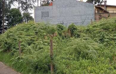 Imagem 8: Terreno,bairro Universitário