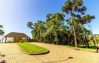 Imagem 9: TERRENO COM PARCELAMENTO DIRETO EM ATÉ 60X