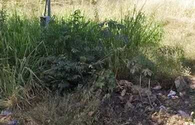 Imagem: O terreno possui 12m² de Área e está localizado em Santa