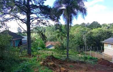 Imagem 6: Terreno - Bairro Vale dos Pinheiros