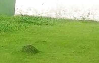 Imagem: O terreno possui 250m² de Área e está localizado em Vila