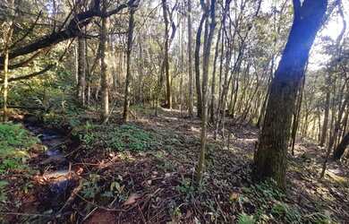 Imagem: A fazenda está localizado em Área Rural de Taquara, Taquara