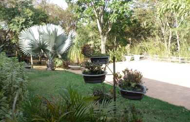 Imagem 4: Venda Residential / Home Betim MG