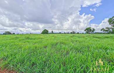 Imagem: A fazenda possui 30.490.000m² de Área e está localizado