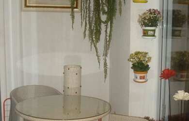 Imagem 15: APARTAMENTO - VILA ROMANA - SP