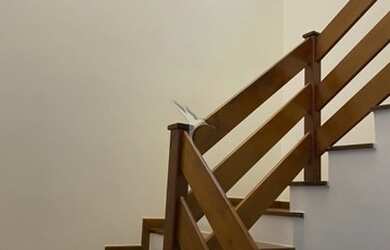 Imagem 11: SANTANA DE PARNAIBA - Casa Padrão - Alphaville