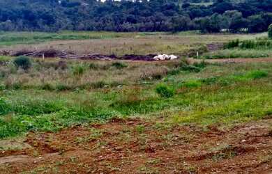 Imagem 2: Lote/Terreno para venda com 1000 metros quadrados em Parque Novo Mundo...