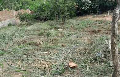 Imagem 3: Terreno para chácara no Murici