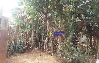 Imagem 4: TERRENO EM SAO JOAQUIM DE BICAS