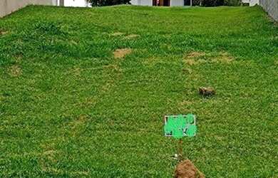 Imagem 9: TERRENO EM CONDOMÍNIO - CONDOMÍNIO PORTAL DO JEQUITIBA - SP