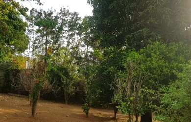 Imagem 10: Sítio para Venda - Boa Vista da Serra, Juatuba - 3000m², 1 vaga