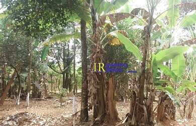 Imagem 12: TERRENO EM SAO JOAQUIM DE BICAS