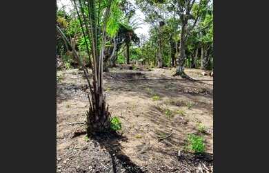 Imagem 12: Terreno para Venda em Porto Seguro, Caraiva