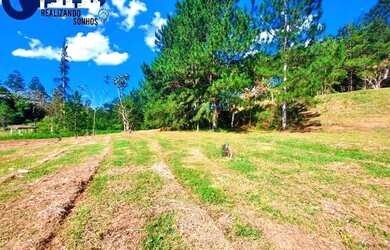 Imagem 14: GATANRA JÁ SEU TERRENO