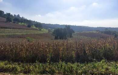 Imagem 1: Lote/Terreno para venda possui 500 metros quadrados em Vila Rica - Atibaia...