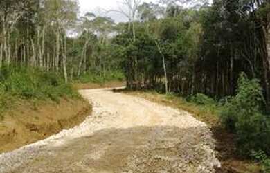 Imagem: A chácara possui 10m² de Área e está localizado em Roseira