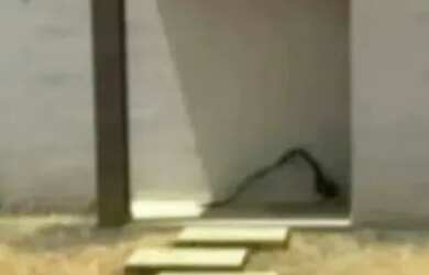 Imagem: A casa possui 2 Dormitórios, 1 Banheiro, 1 Vaga na garagem