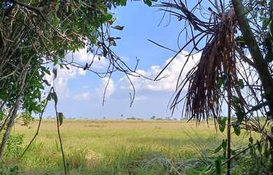 Imagem 9: Terreno para chácara. 58.888m² de Área