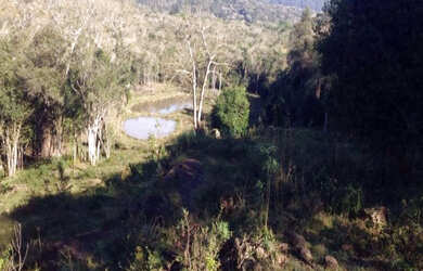 Imagem 9: Sítio Igrejinha 3 Ha Contendo uma casa de alvenaria por apenas R$500mil