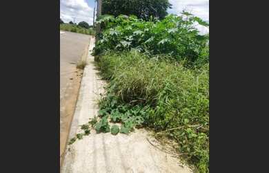 Imagem 4: Lote/Terreno para venda tem 383 metros quadrados