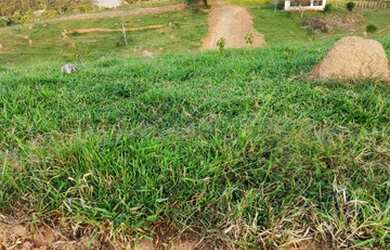 Imagem: O terreno está localizado em Centro, Diadema à venda por R$65.000