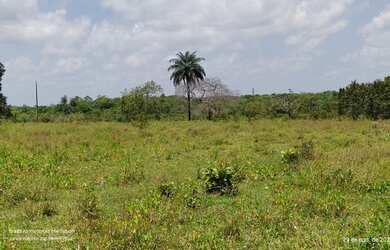 Imagem 6: R$8 milhões fazenda desativada com 216 alqueires 70 aberta