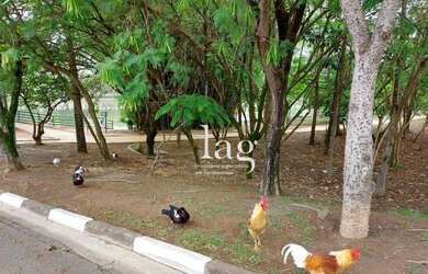 Imagem 11: Terreno à venda, 582 m² por R$ 550.000,00 - Condomínio Ibiti do Paço...