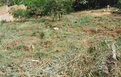 Imagem 2: Terreno para chácara no Murici