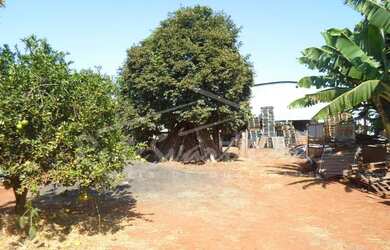 Imagem 12: Área à venda, 10420 m² por R$ 4.500.000,00 - Santa Terezinha - Paulínia/SP