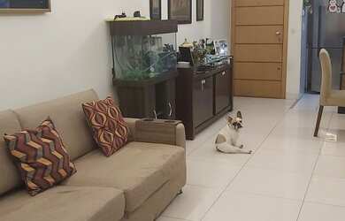 Imagem 16: Lindo apartamento na Tijuca em condomínio com total infraestrutura de...