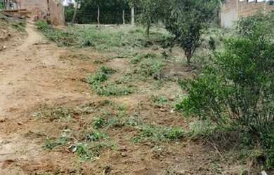 Imagem 1: Terreno para chácara no Murici