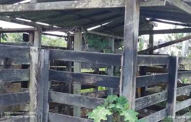 Imagem 7: R$8 milhões fazenda desativada com 216 alqueires 70 aberta
