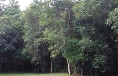 Imagem: O terreno possui 5.240m² de Área e está localizado em Fazenda