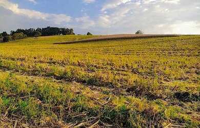 Imagem: O terreno possui 500m² de Área e está localizado em Usina