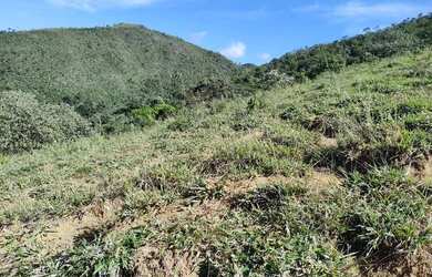 Imagem 6: Fazenda 273hectares