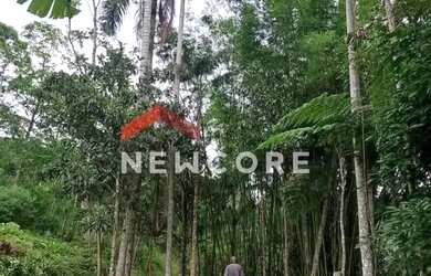 Imagem 2: Lote em Avenida Marta Maria de Jesus - Centro - Juquitiba/SP