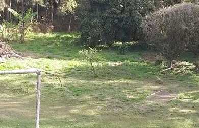 Imagem 3: SÍTIO - SÍTIO DO MORRO - SP