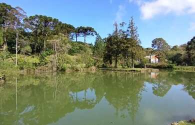 Imagem 11: Terreno - Bairro Vale dos Pinheiros