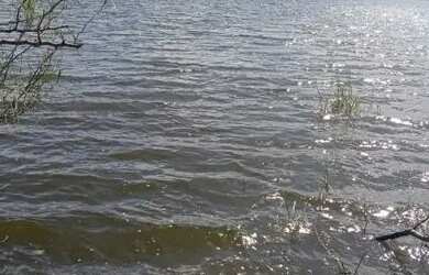 Imagem 3: Fazenda. 250.000.000m² de Área