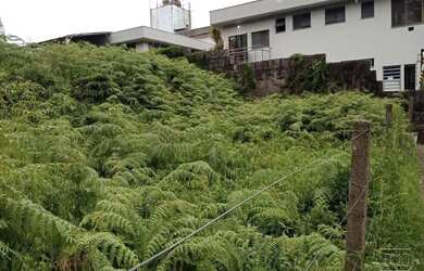 Imagem 7: Terreno,bairro Universitário