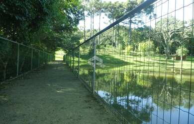 Imagem 11: Condomínio Alto das Videiras - Vale dos Vinhedos