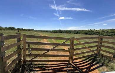 Imagem 5: Fazenda com cana próximo Uberlândia