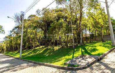 Imagem 3: TERRENO COM PARCELAMENTO DIRETO EM ATÉ 60X