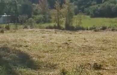 Imagem 2: AREA - ITAPETINGA - SP. 6.713m² de Área