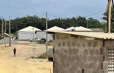 Imagem 6: VA- Arvores III - LEIA O ANUNCIO POR FAVOR